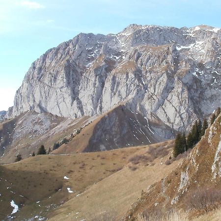 Chambre D'Hote La Petite Bergerie Abondance Kültér fotó