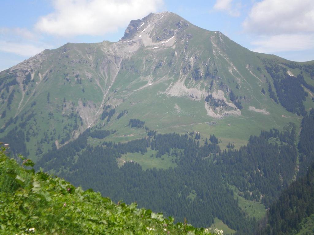 Chambre D'Hote La Petite Bergerie Abondance Kültér fotó